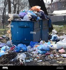 Best Recycling Services for Junk  in Seminole Manor, FL